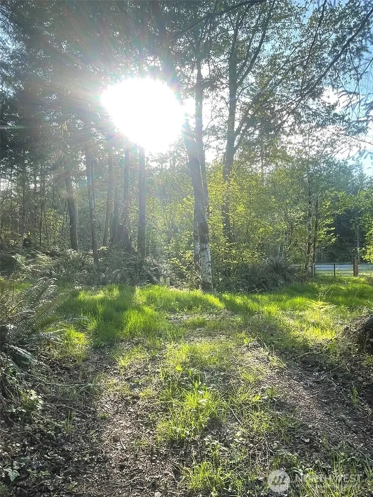 14253 W Cloquallum Road Elma WA 98546