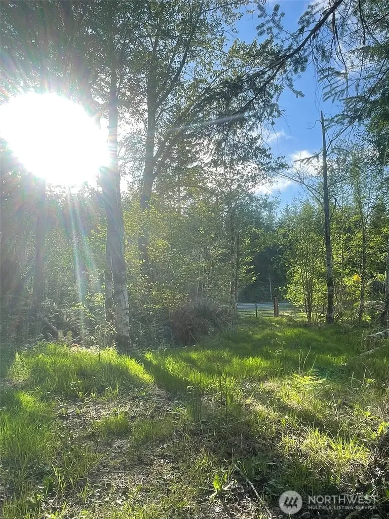 14253 W Cloquallum Road Elma WA 98546