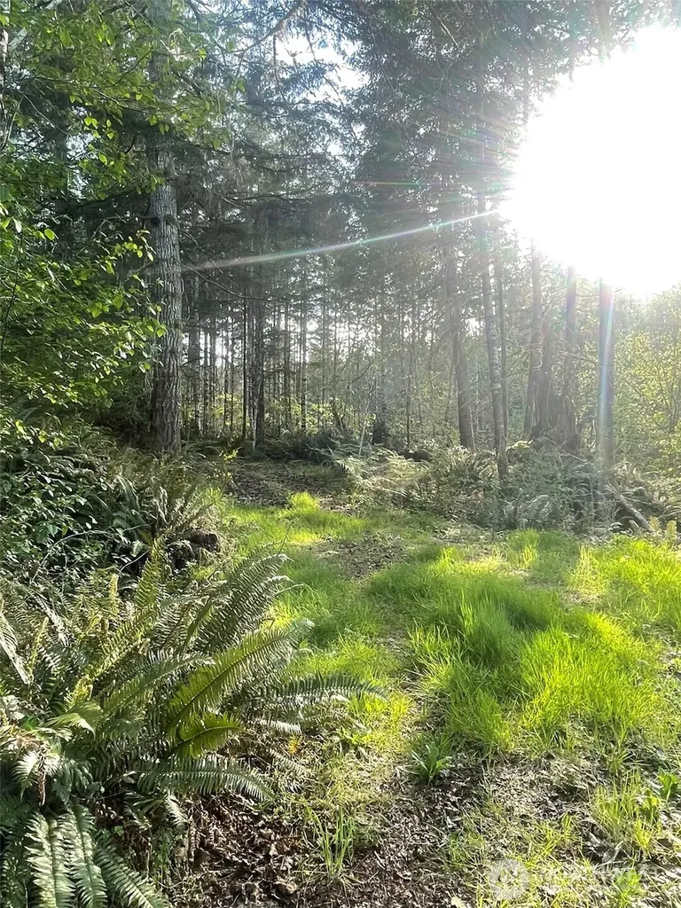 14253 W Cloquallum Road Elma WA 98546