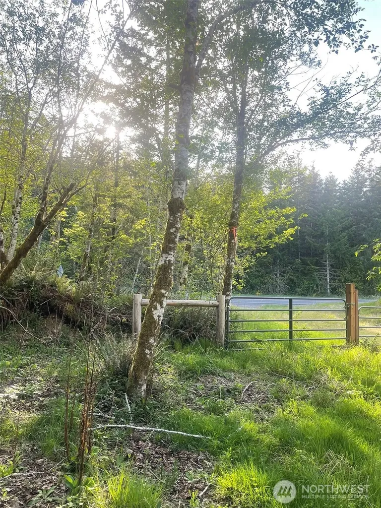 14253 W Cloquallum Road Elma WA 98546