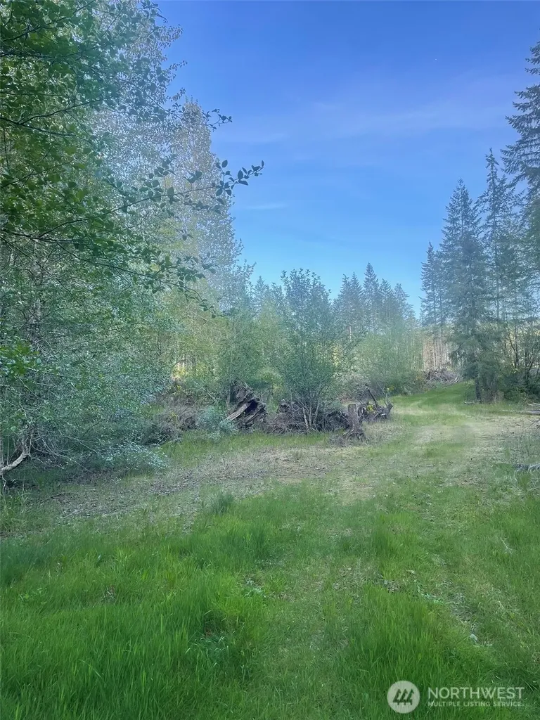 14253 W Cloquallum Road Elma WA 98546