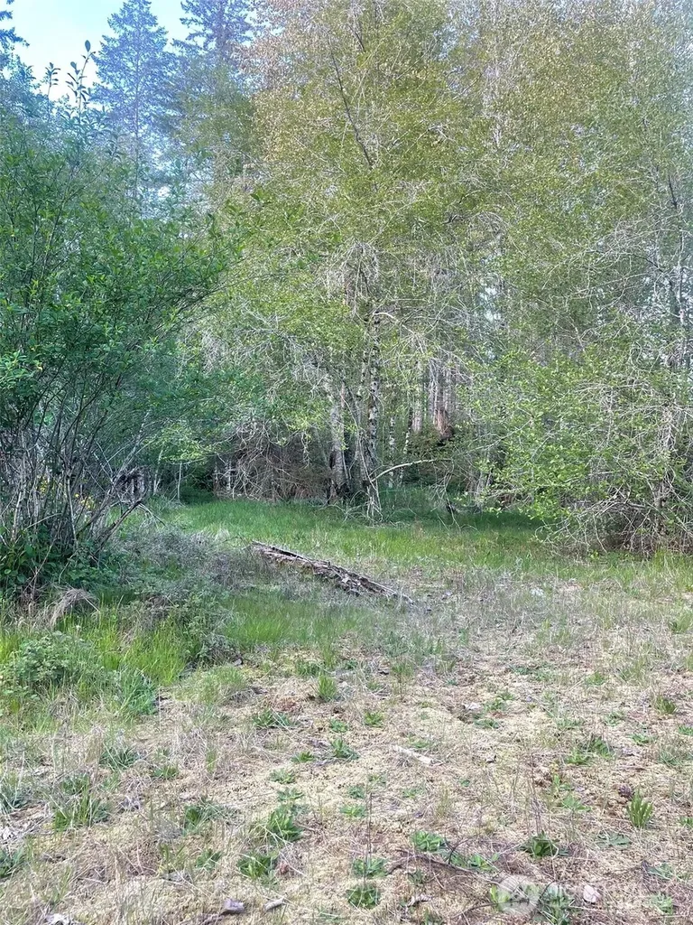 14253 W Cloquallum Road Elma WA 98546