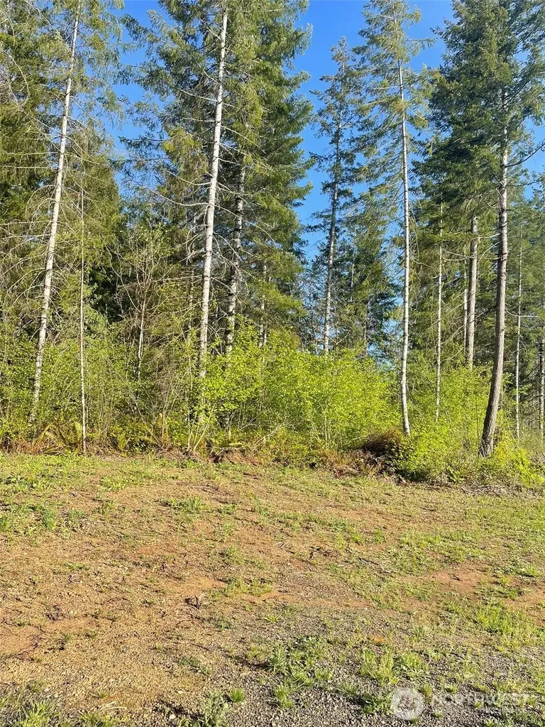 14253 W Cloquallum Road Elma WA 98546
