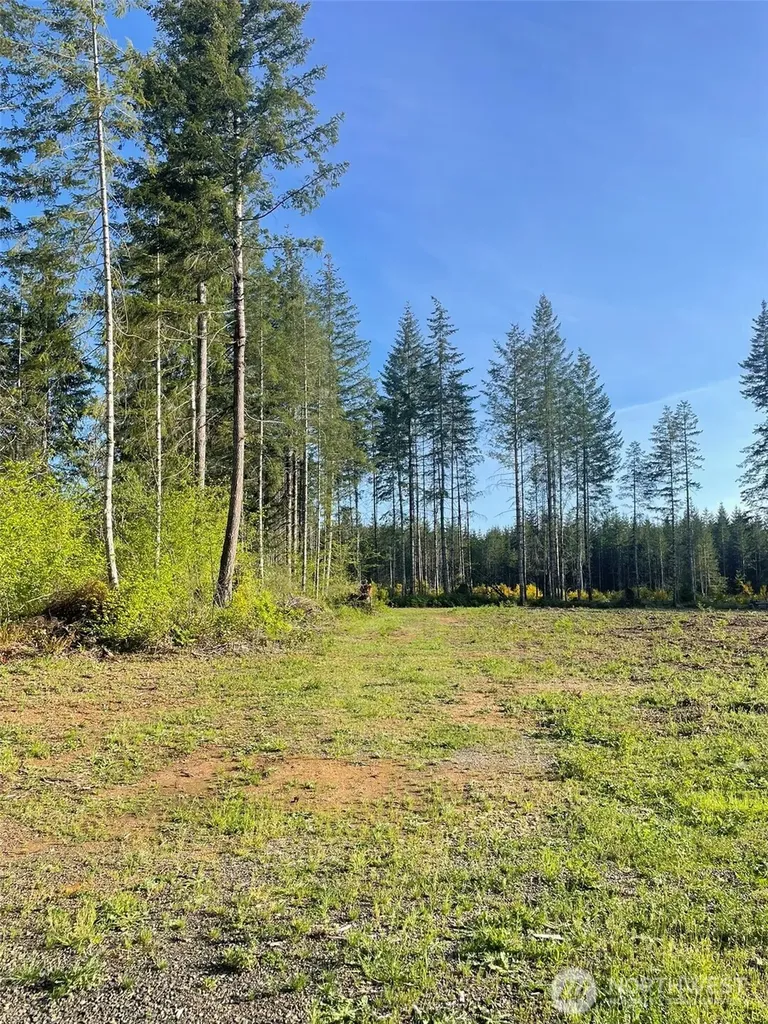14253 W Cloquallum Road Elma WA 98546