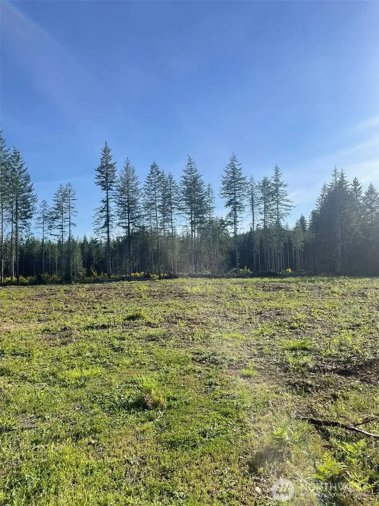 14253 W Cloquallum Road Elma WA 98546