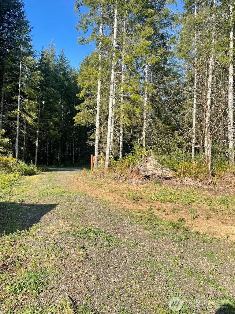 14253 W Cloquallum Road Elma WA 98546