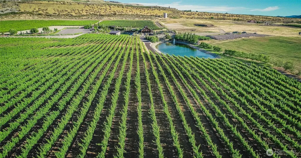 52 Mica Lane Orondo WA 98843