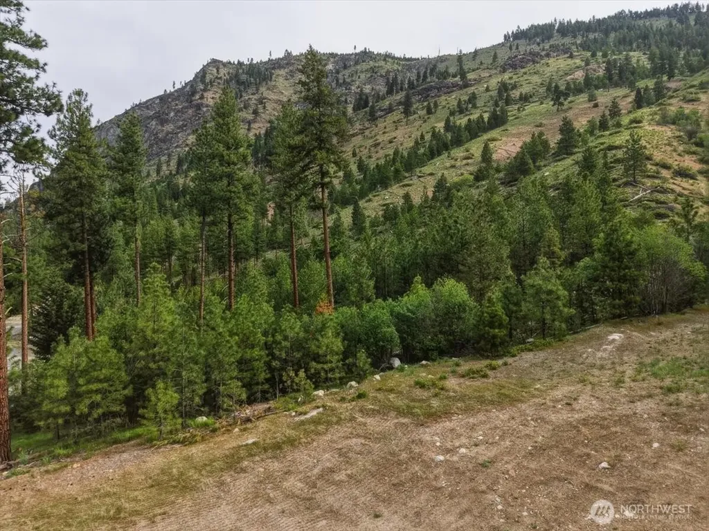 4 Lot Mossback Lane Entiat WA 98822