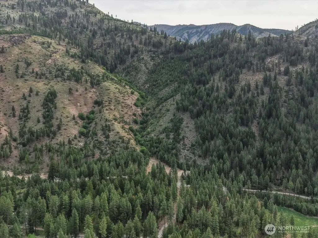 4 Lot Mossback Lane Entiat WA 98822