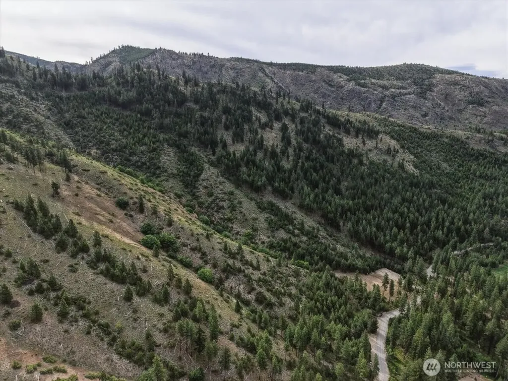 4 Lot Mossback Lane Entiat WA 98822