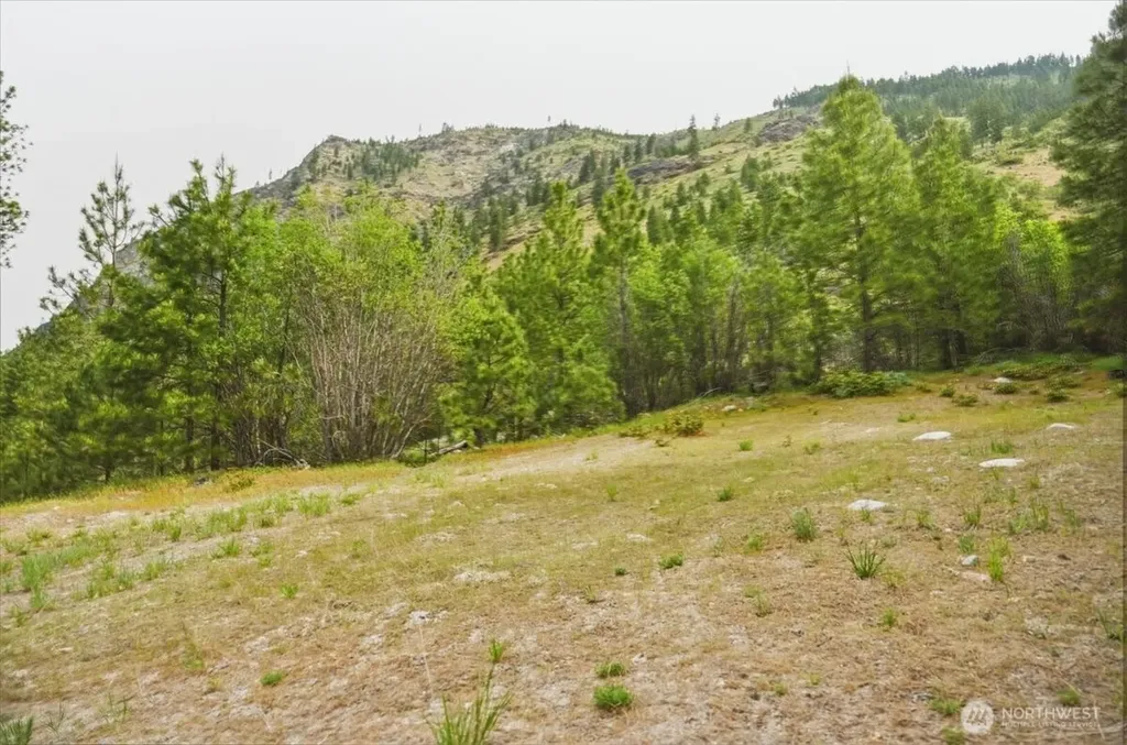 4 Lot Mossback Lane Entiat WA 98822