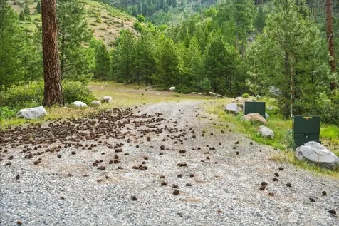 4 Lot Mossback Lane Entiat WA 98822