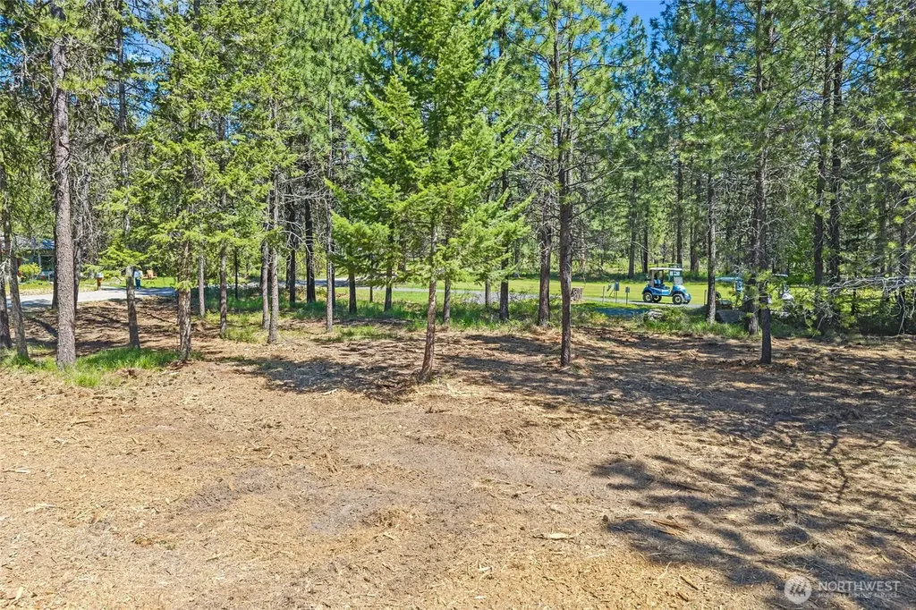 0 Lot 24 Couples Place Chewelah WA 99109