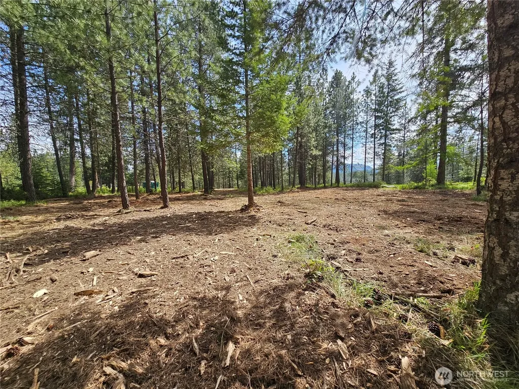 0 Lot 24 Couples Place Chewelah WA 99109