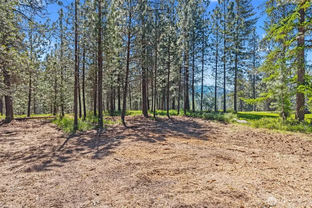 0 Lot 24 Couples Place Chewelah WA 99109