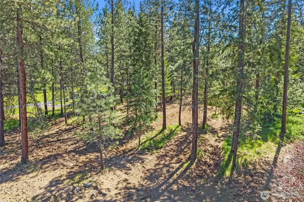 0 Lot 24 Couples Place Chewelah WA 99109
