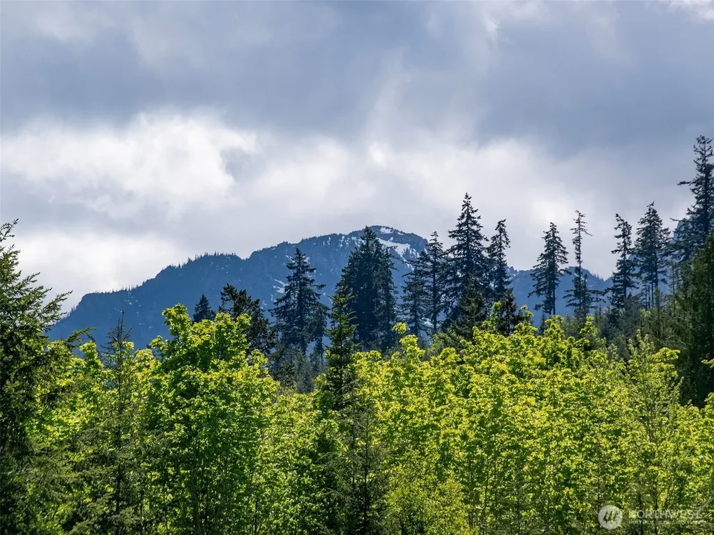 9999 Kruse Road Port Angeles WA 98362