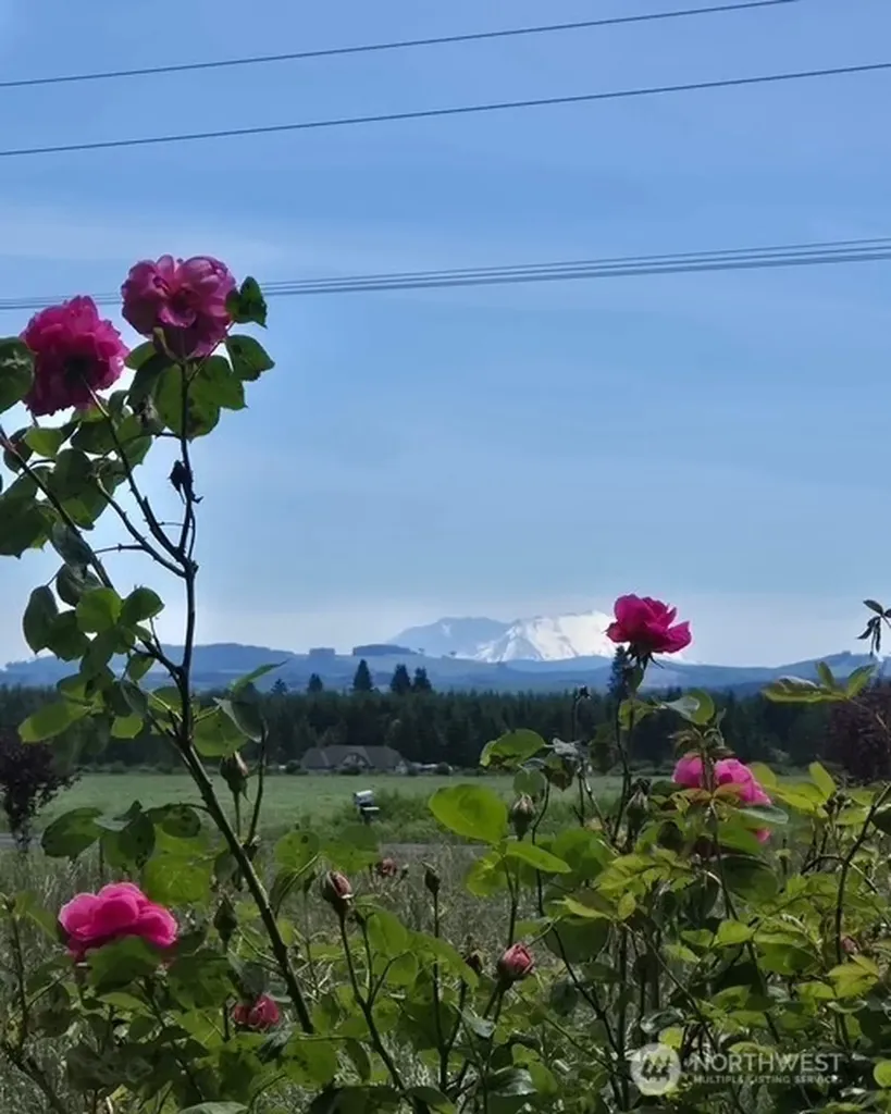 473 Gore Road Onalaska WA 98570