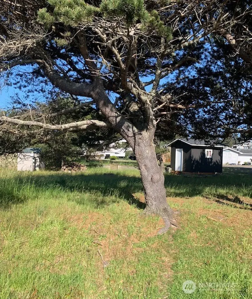 805 353rd Place Ocean Park WA 98640
