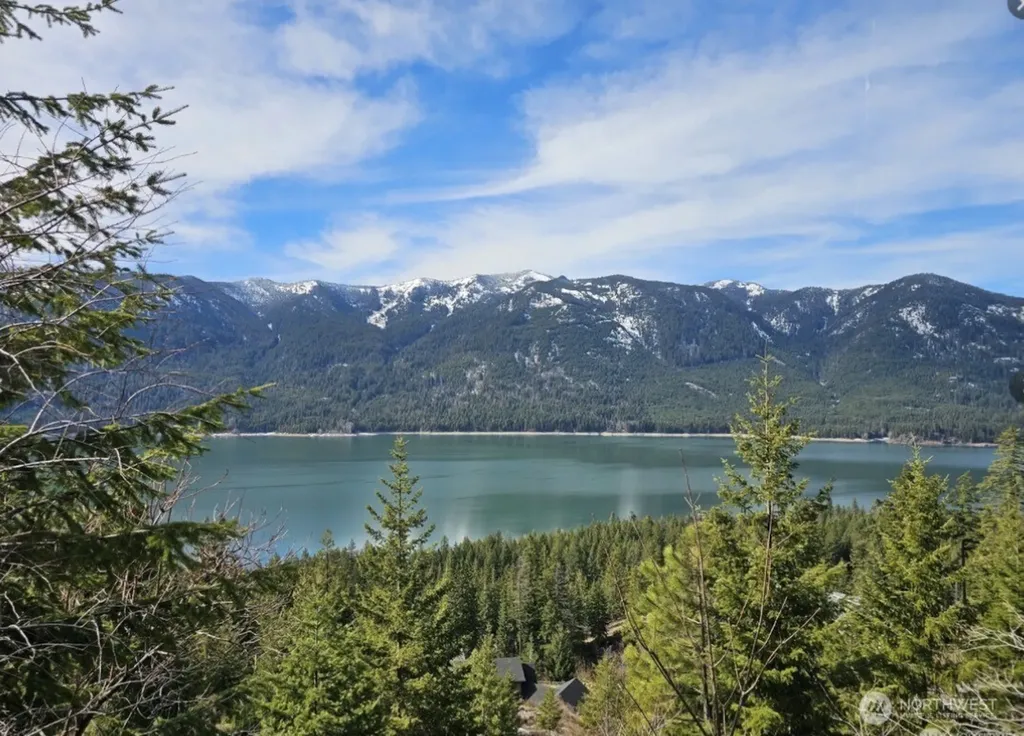 1491 Morgan Creek Road Ronald WA 98940