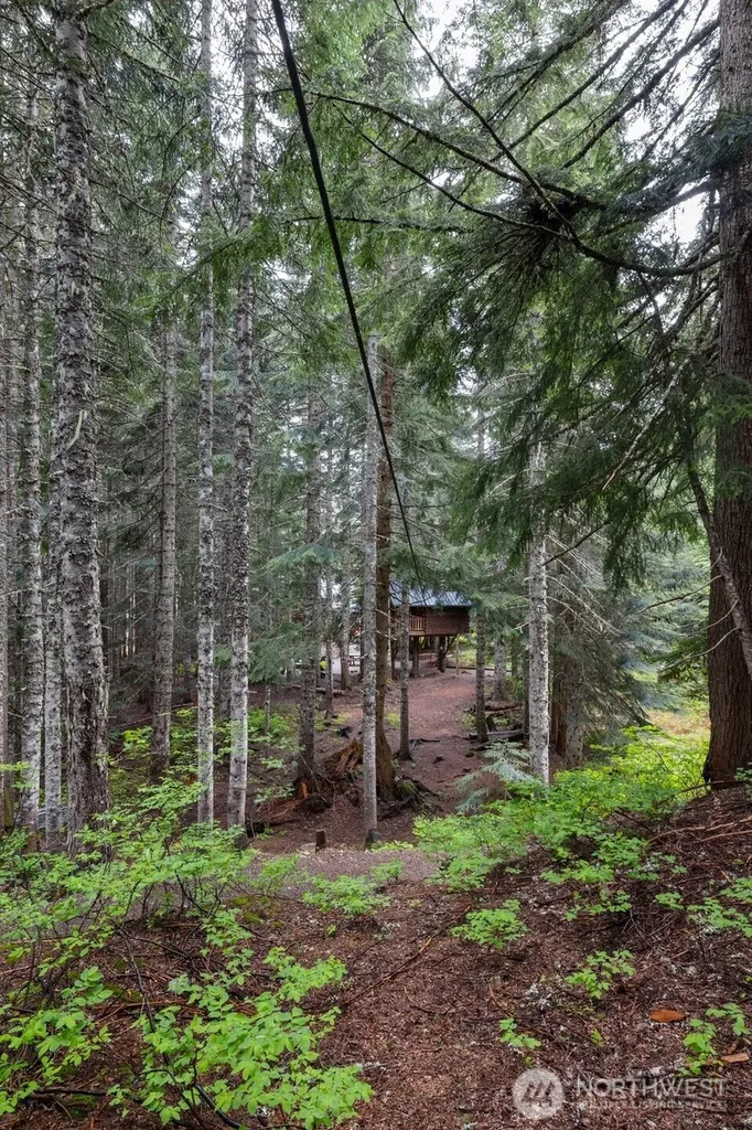 670 Yellowstone Snoqualmie Pass WA 98068