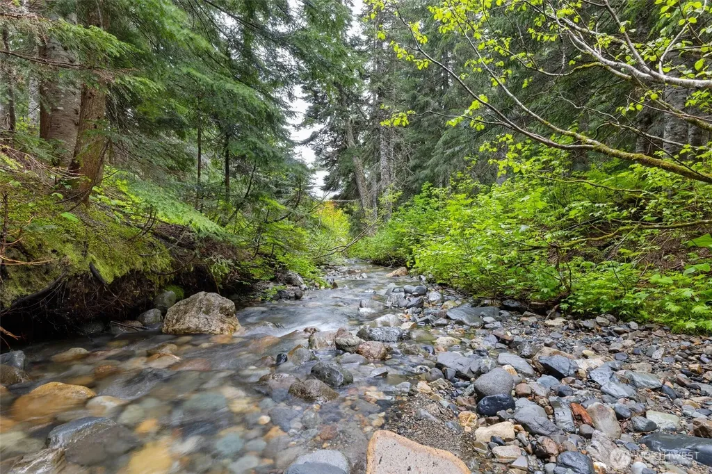 670 Yellowstone Snoqualmie Pass WA 98068