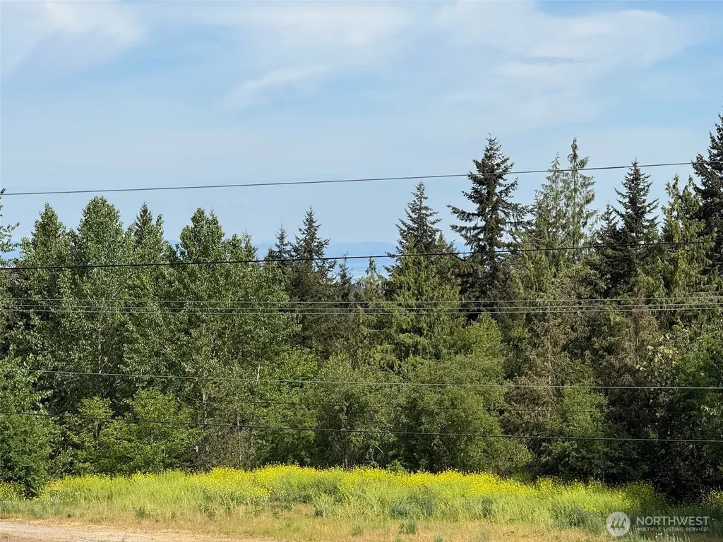46 Cliff Robinson Lane Sequim WA 98382