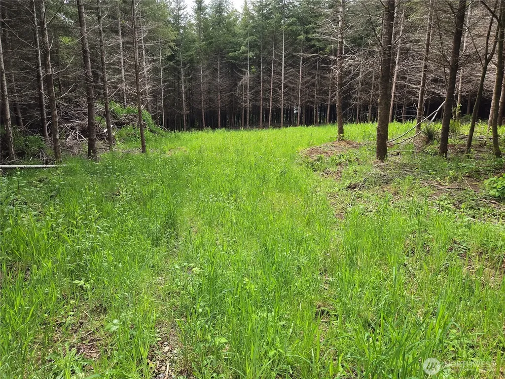 7 Beaver Hill Lane Montesano WA 98563
