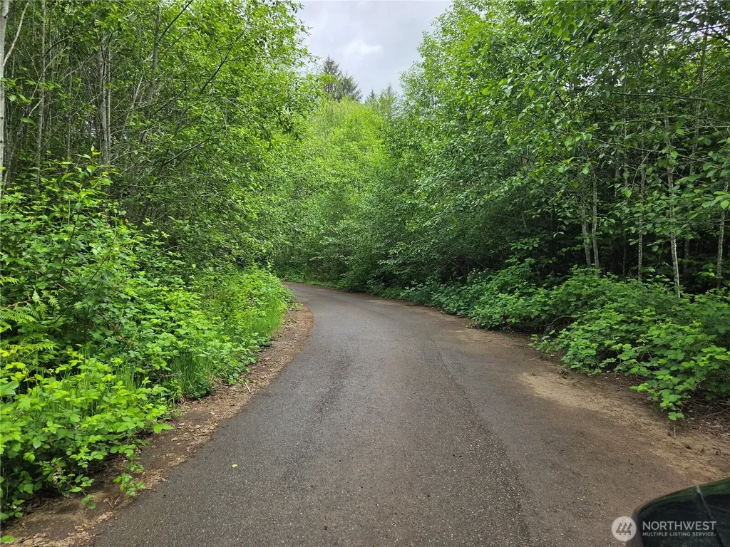 7 Beaver Hill Lane Montesano WA 98563