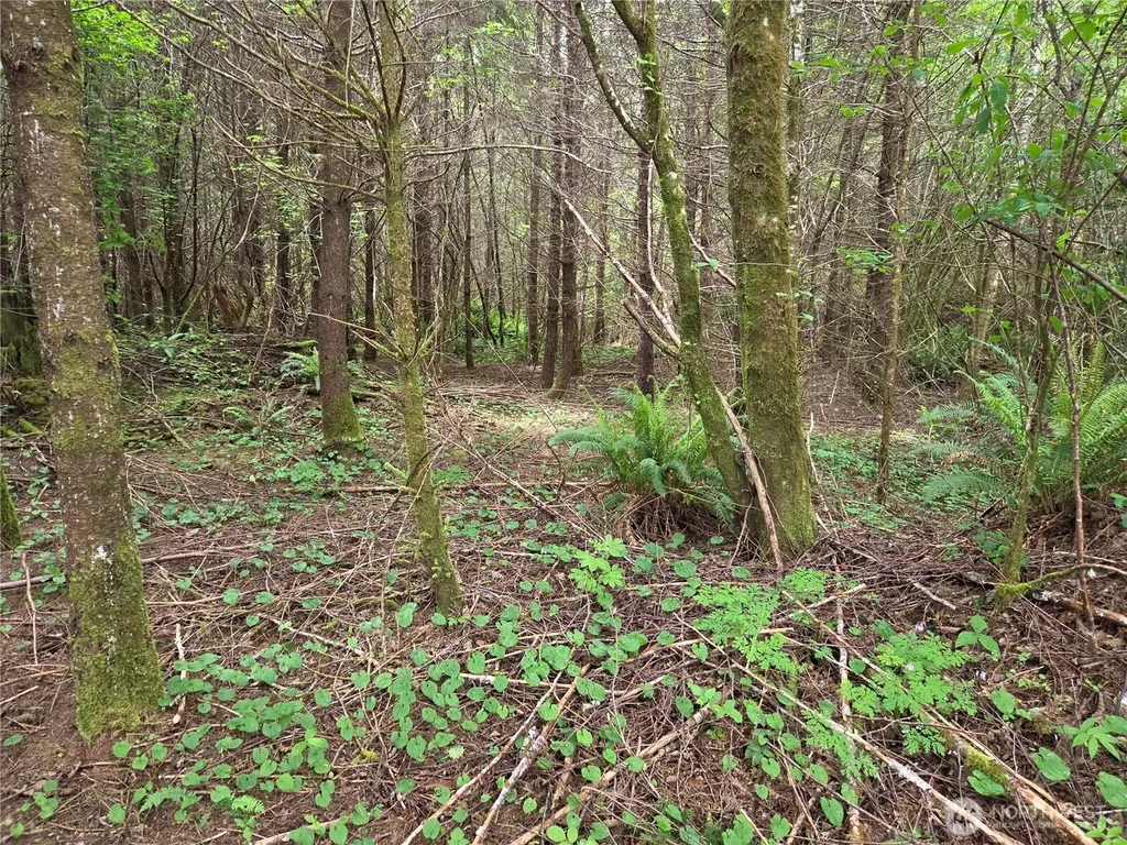 13 Beaver Hill Lane Montesano WA 98563