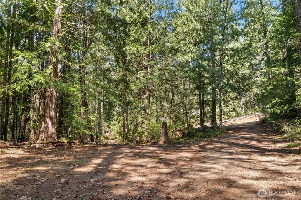 0 N White Tail Trail Hoodsport WA 98548