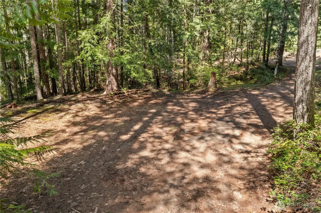 0 N White Tail Trail Hoodsport WA 98548