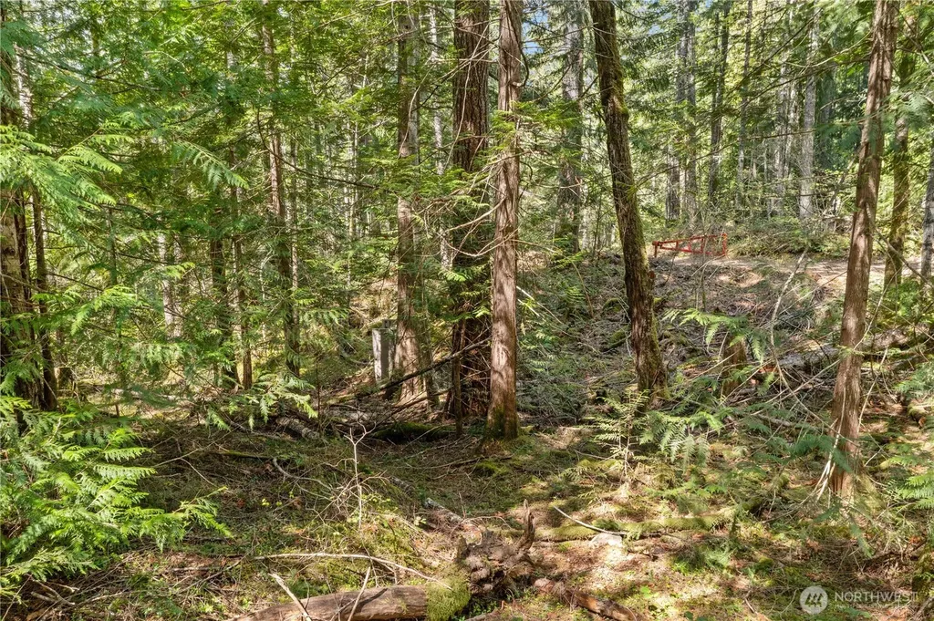 0 N White Tail Trail Hoodsport WA 98548