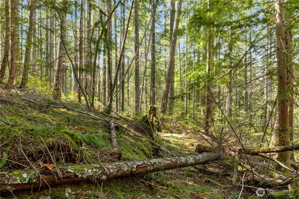 0 N White Tail Trail Hoodsport WA 98548