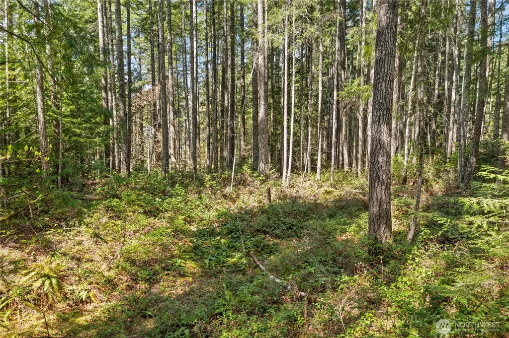 0 N White Tail Trail Hoodsport WA 98548