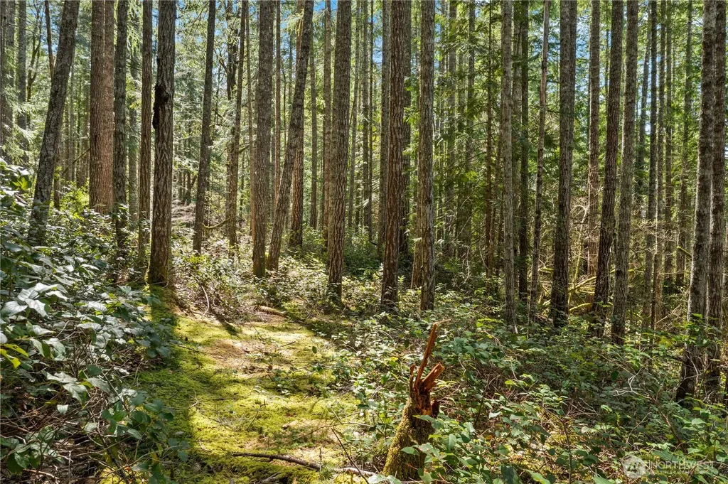 0 N White Tail Trail Hoodsport WA 98548