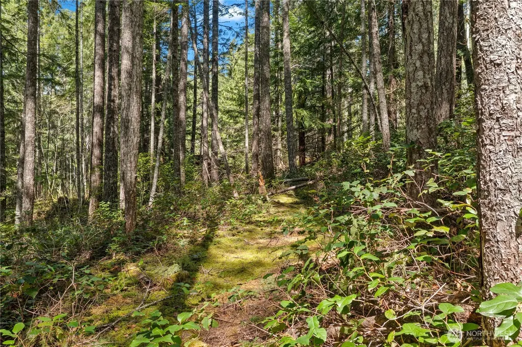0 N White Tail Trail Hoodsport WA 98548