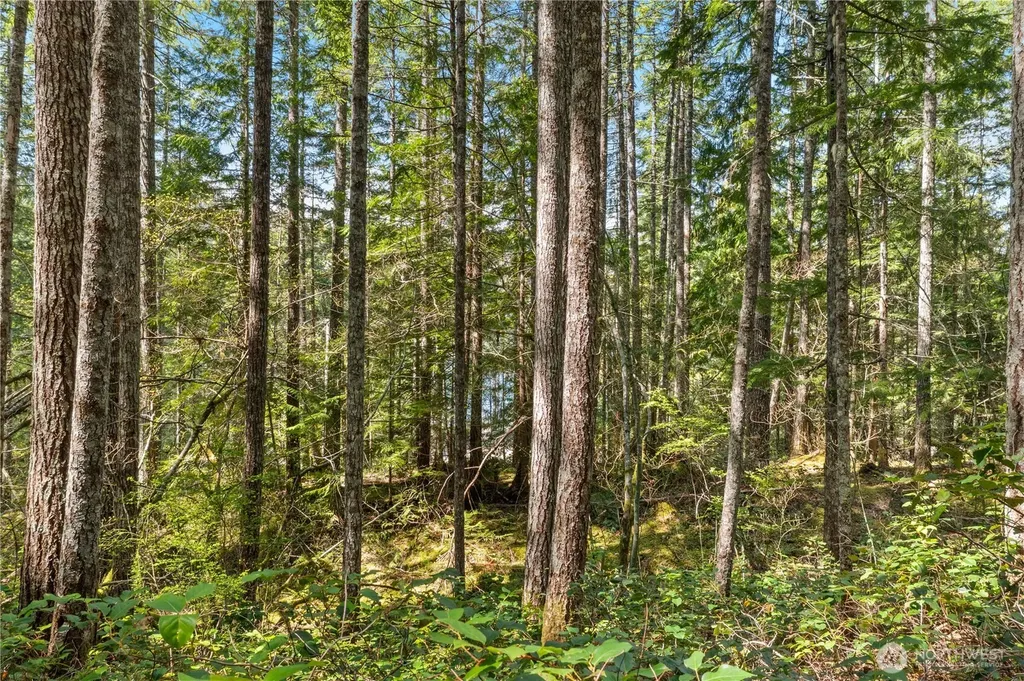 0 N White Tail Trail Hoodsport WA 98548