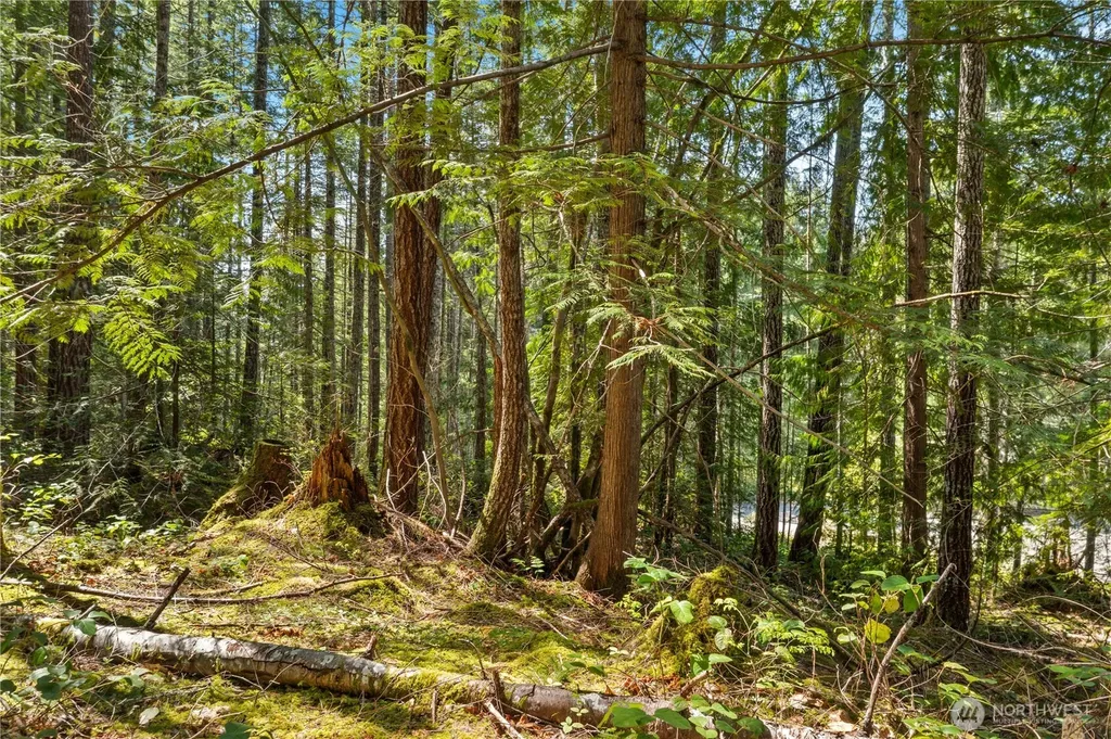 0 N White Tail Trail Hoodsport WA 98548