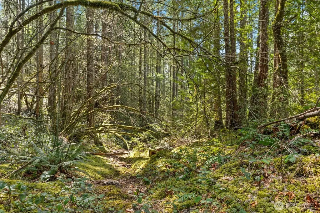 0 N White Tail Trail Hoodsport WA 98548