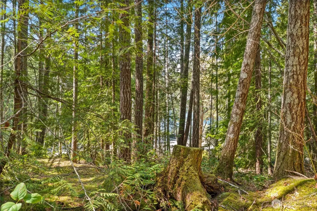 0 N White Tail Trail Hoodsport WA 98548