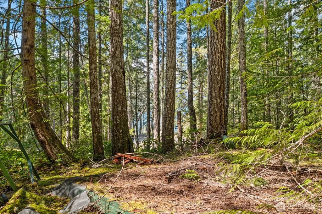 0 N White Tail Trail Hoodsport WA 98548