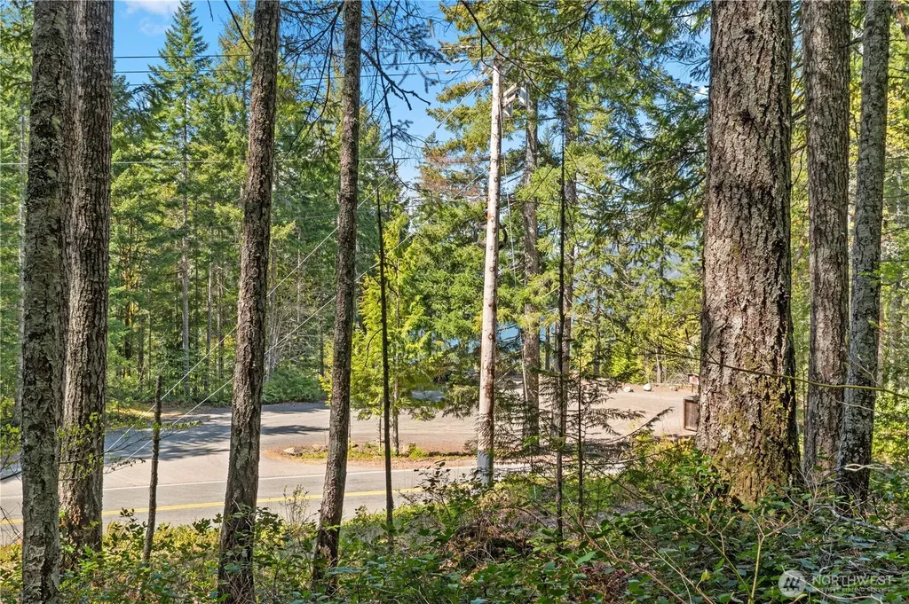 0 N White Tail Trail Hoodsport WA 98548
