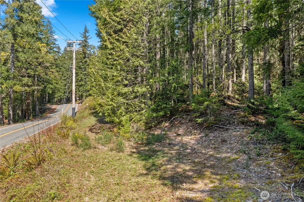 0 N White Tail Trail Hoodsport WA 98548