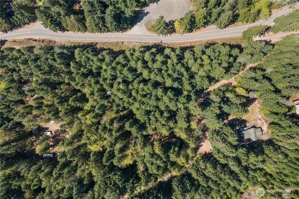 0 N White Tail Trail Hoodsport WA 98548