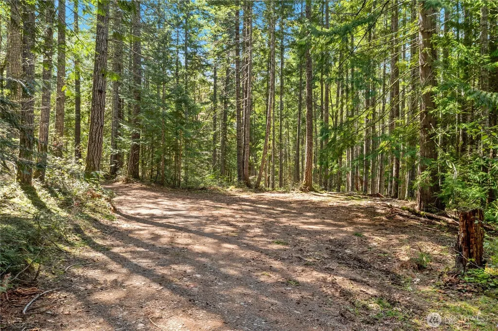 0 N White Tail Trail Hoodsport WA 98548