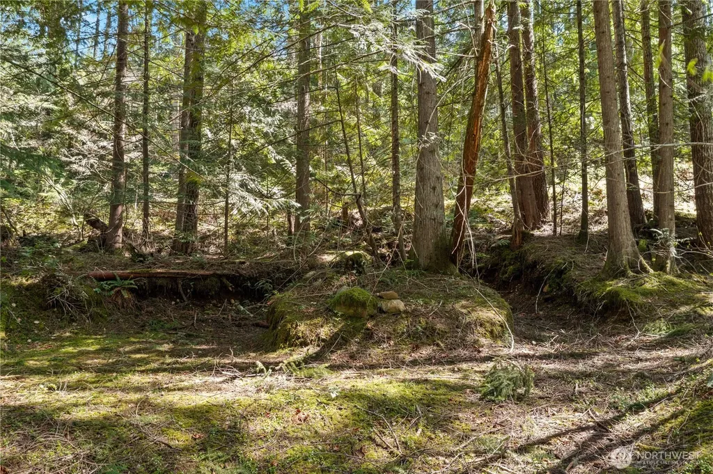 0 N White Tail Trail Hoodsport WA 98548