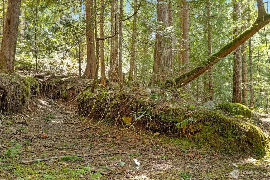 0 N White Tail Trail Hoodsport WA 98548