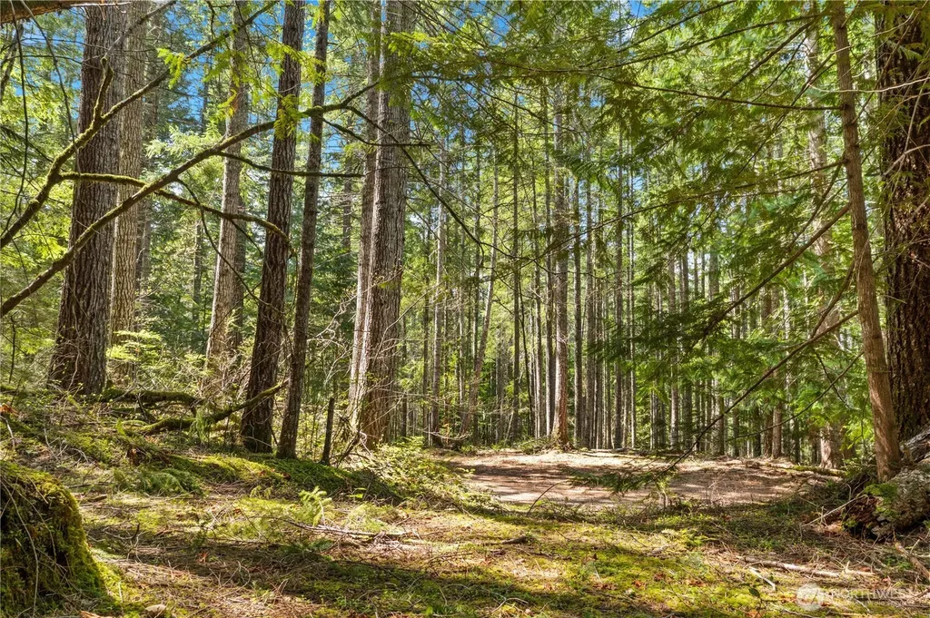 0 N White Tail Trail Hoodsport WA 98548