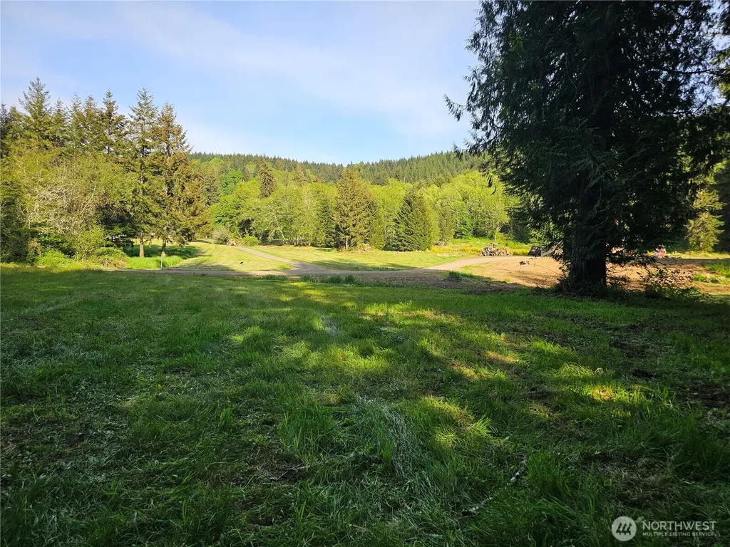 0 Middle Earth Lane Elma WA 98541